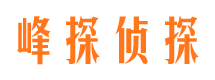 阜宁婚外情调查取证